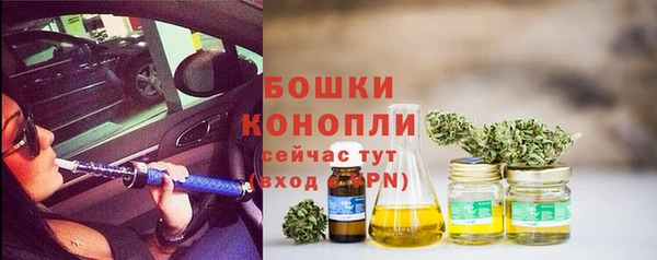мдпв Волоколамск